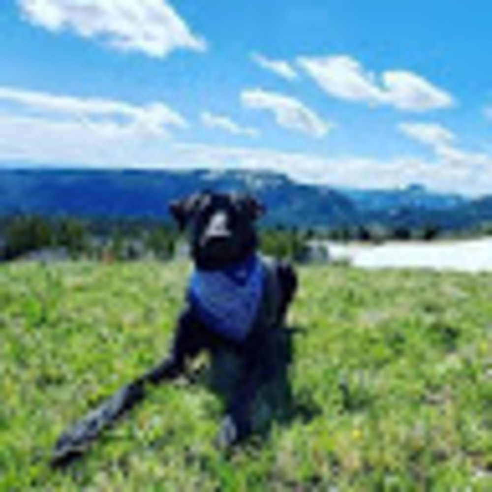 Meet your Posher, Callan